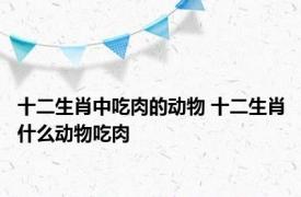 十二生肖中吃肉的动物 十二生肖什么动物吃肉