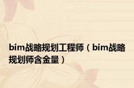 bim战略规划工程师（bim战略规划师含金量）