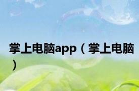 掌上电脑app（掌上电脑）