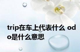 trip在车上代表什么 odo是什么意思