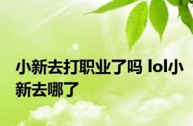 小新去打职业了吗 lol小新去哪了