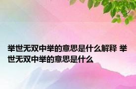 举世无双中举的意思是什么解释 举世无双中举的意思是什么