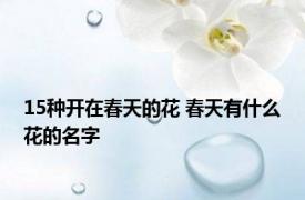 15种开在春天的花 春天有什么花的名字