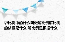 求比例中的什么叫做解比例解比例的依据是什么 解比例是根据什么