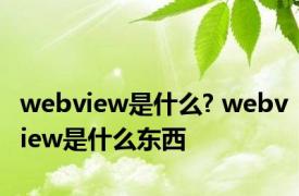 webview是什么? webview是什么东西