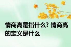 情商高是指什么? 情商高的定义是什么