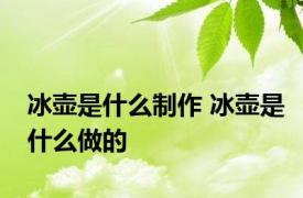 冰壶是什么制作 冰壶是什么做的