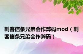 刺客信条兄弟会作弊码mod（刺客信条兄弟会作弊码）