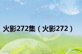 火影272集（火影272）