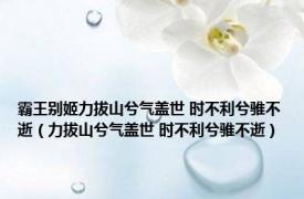 霸王别姬力拔山兮气盖世 时不利兮骓不逝（力拔山兮气盖世 时不利兮骓不逝）