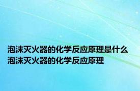 泡沫灭火器的化学反应原理是什么 泡沫灭火器的化学反应原理