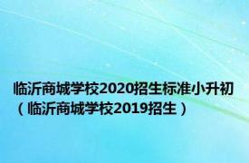 临沂商城学校2020招生标准小升初（临沂商城学校2019招生）