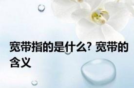 宽带指的是什么? 宽带的含义