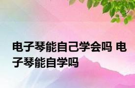 电子琴能自己学会吗 电子琴能自学吗