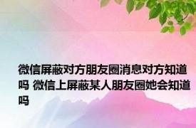 微信屏蔽对方朋友圈消息对方知道吗 微信上屏蔽某人朋友圈她会知道吗