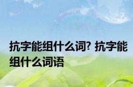 抗字能组什么词? 抗字能组什么词语