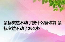 鼠标突然不动了按什么键恢复 鼠标突然不动了怎么办