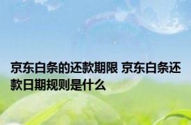 京东白条的还款期限 京东白条还款日期规则是什么