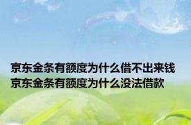 京东金条有额度为什么借不出来钱 京东金条有额度为什么没法借款