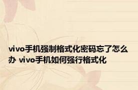 vivo手机强制格式化密码忘了怎么办 vivo手机如何强行格式化