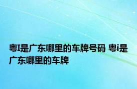 粤I是广东哪里的车牌号码 粤i是广东哪里的车牌