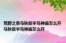 荒野之息马秋兹半岛神庙怎么开 马秋兹半岛神庙怎么开