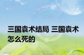 三国袁术结局 三国袁术怎么死的