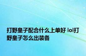 打野皇子配合什么上单好 lol打野皇子怎么出装备