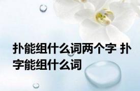 扑能组什么词两个字 扑字能组什么词