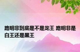 路明非到底是不是龙王 路明非是白王还是黑王