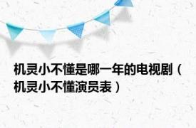 机灵小不懂是哪一年的电视剧（机灵小不懂演员表）