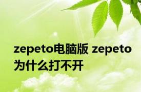 zepeto电脑版 zepeto为什么打不开