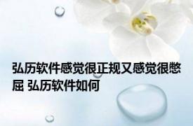 弘历软件感觉很正规又感觉很憋屈 弘历软件如何