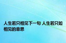 人生若只相见下一句 人生若只如相见的意思