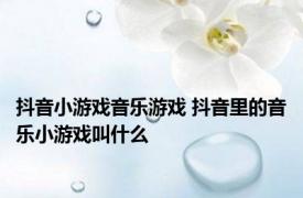 抖音小游戏音乐游戏 抖音里的音乐小游戏叫什么