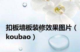 扣板墙板装修效果图片（koubao）