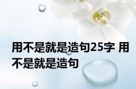 用不是就是造句25字 用不是就是造句