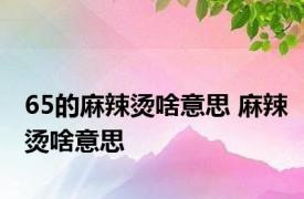 65的麻辣烫啥意思 麻辣烫啥意思