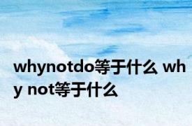 whynotdo等于什么 why not等于什么