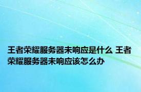 王者荣耀服务器未响应是什么 王者荣耀服务器未响应该怎么办