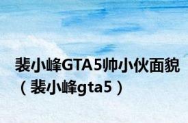 裴小峰GTA5帅小伙面貌（裴小峰gta5）