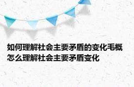 如何理解社会主要矛盾的变化毛概 怎么理解社会主要矛盾变化