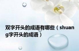 双字开头的成语有哪些（shuang字开头的成语）