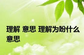 理解 意思 理解为盼什么意思