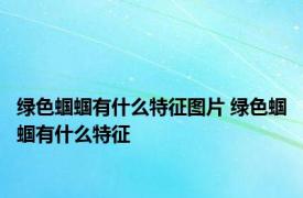 绿色蝈蝈有什么特征图片 绿色蝈蝈有什么特征