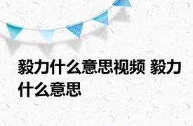 毅力什么意思视频 毅力什么意思