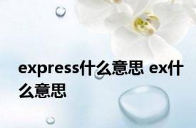 express什么意思 ex什么意思