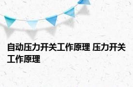 自动压力开关工作原理 压力开关工作原理