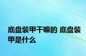 底盘装甲干嘛的 底盘装甲是什么