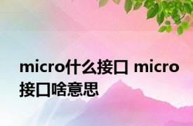 micro什么接口 micro接口啥意思